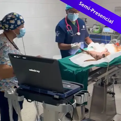 [C010] Curso de mantenimiento de equipos de veterinaria Quito
